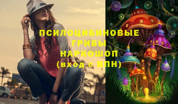 дживик Краснослободск