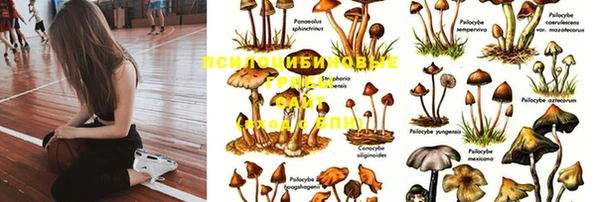 кокс Армянск