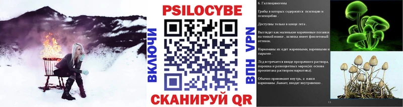 Псилоцибиновые грибы MAGIC MUSHROOMS  площадка Telegram  Долгопрудный  купить закладку 